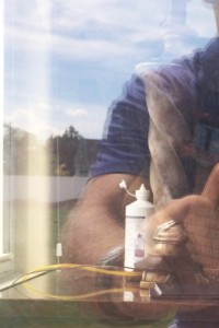 Hard water removal, window cleaning, austin tx, texas, austin, window washing, clean windows