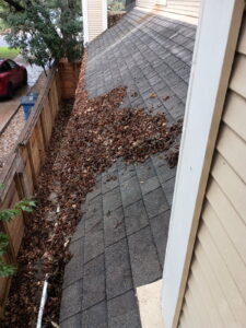 Leaf buildup blocking gutter drainage along residential roof in Austin TX before professional gutter cleaning